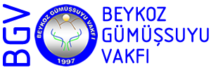 BGV Logo